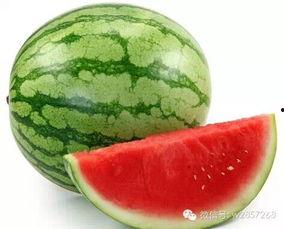 顶呱呱吃瓜 第2张 顶呱呱吃瓜 第2张